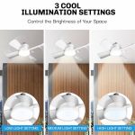 Bell & Howell ソケットファンライト(8563)/Matte White LED Indoor Socket Fanlight